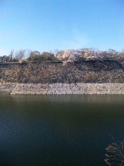 お花見会場大阪城公園