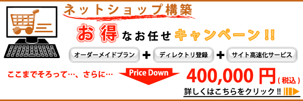 �ͥåȥ���å׹���_�����ʤ�Ǥ�������ڡ���!!_�����ޤǤ����äơġ�����ˡ�PriceDown_400,000��(�ǹ�)
